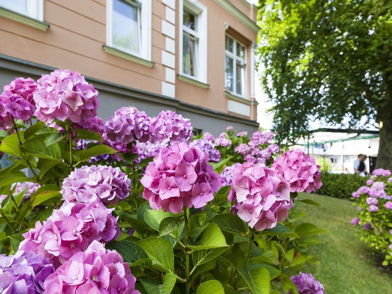 Ostseehotel Villen im Park - ein Rovell Hotel Ostseebad Heringsdorf Exterior foto